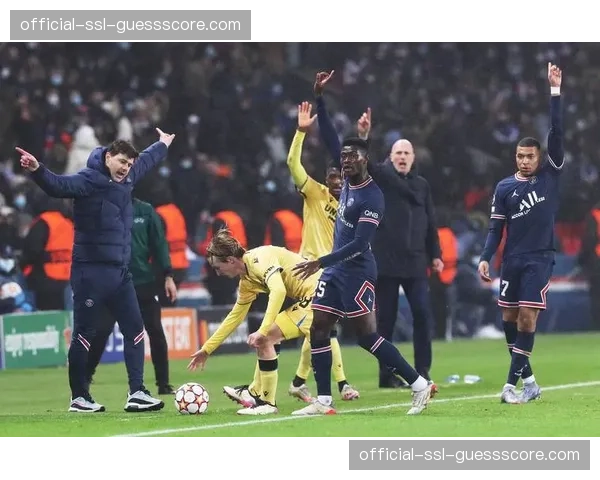 为迎接2027年欧冠决赛，王子公园球场启动改造评估